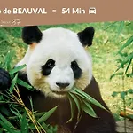 - Vue Basilique Saint Martin Tours