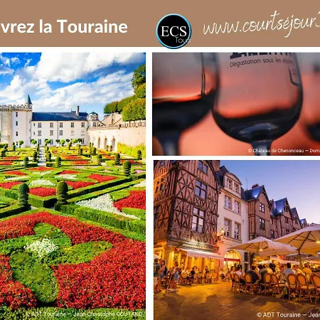 Apartament - Vue Basilique Saint Martin