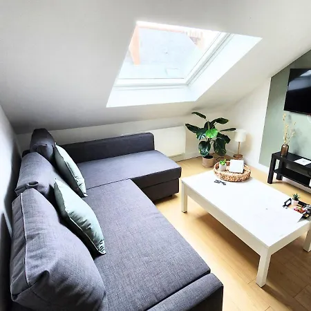 Lägenhet - Vue Basilique Saint Martin *