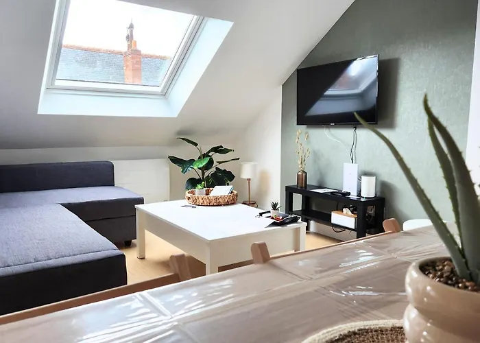 Apartament - Vue Basilique Saint Martin *