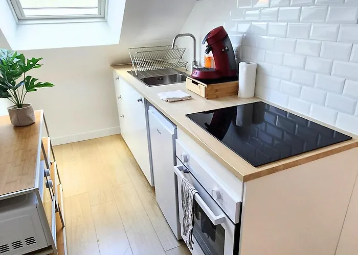 Apartament - Vue Basilique Saint Martin Tours