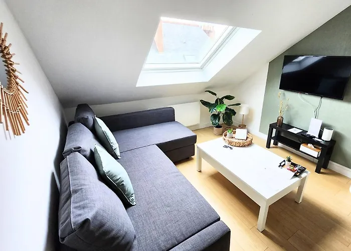 Apartament - Vue Basilique Saint Martin *