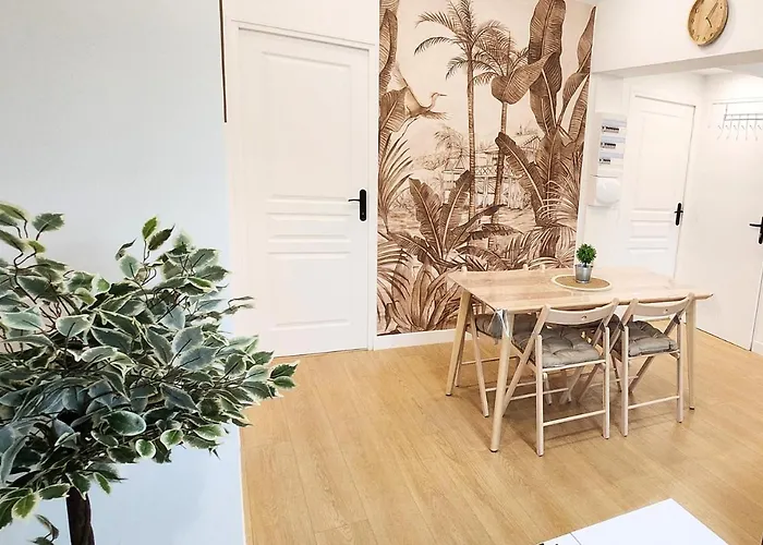 Apartament - Vue Basilique Saint Martin Tours