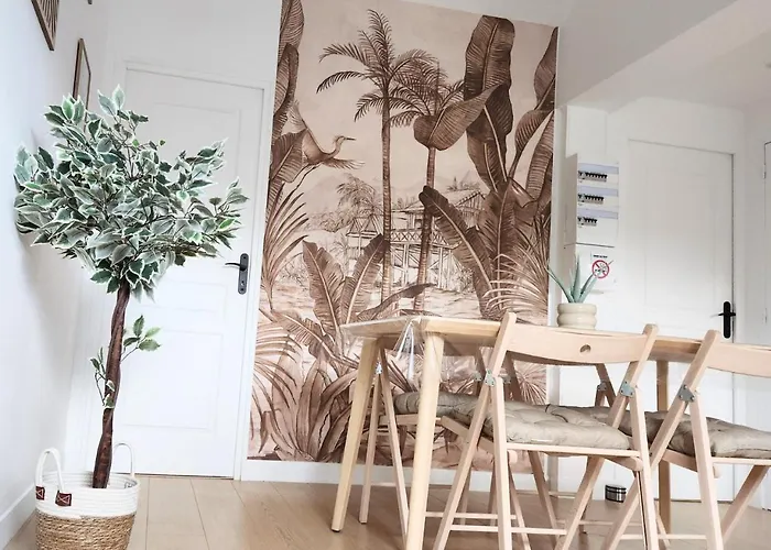 Apartament - Vue Basilique Saint Martin Tours