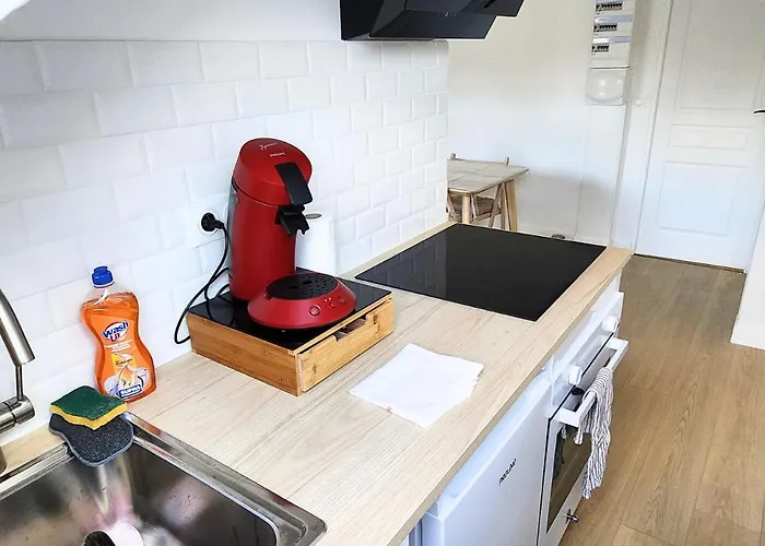 Apartament - Vue Basilique Saint Martin Tours