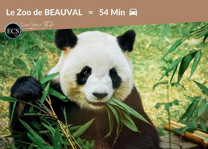 - Vue Basilique Saint Martin Tours