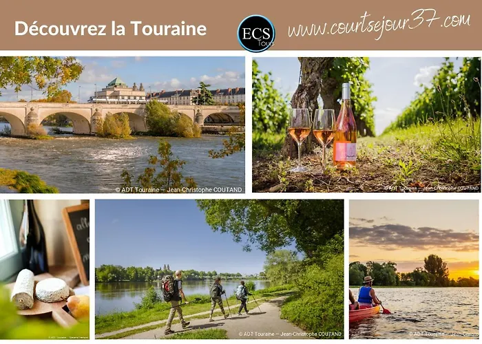 Apartament - Vue Basilique Saint Martin Tours