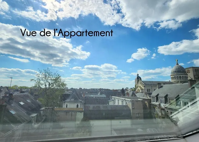 Apartament - Vue Basilique Saint Martin *