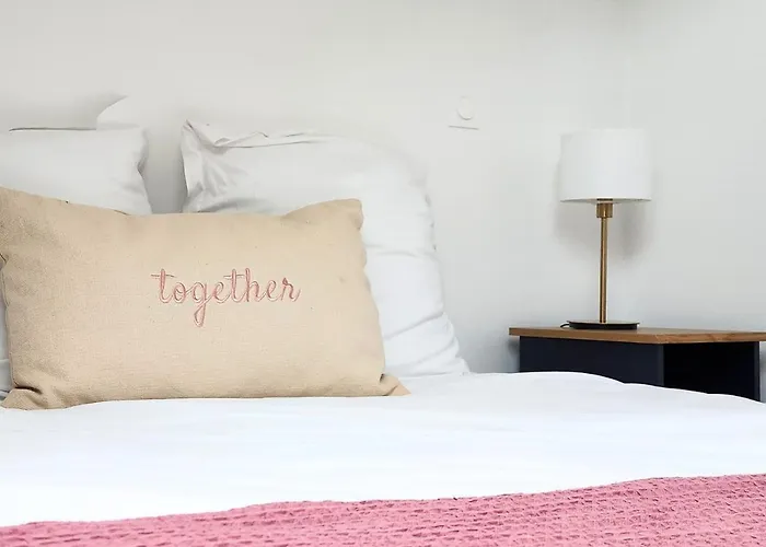 Apartament - Vue Basilique Saint Martin *